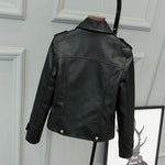 Motorcycle Leather Jacket