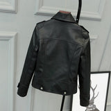 Motorcycle Leather Jacket