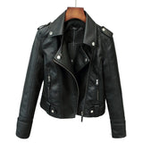 Motorcycle Leather Jacket