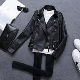 Motorcycle Leather Jacket